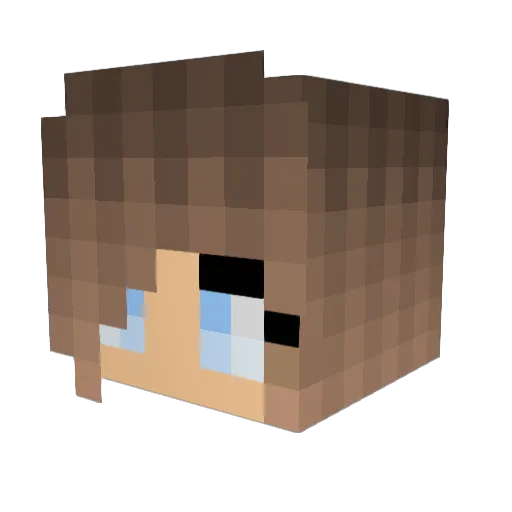 binkie33 Minecraft avatar head, 3D render
