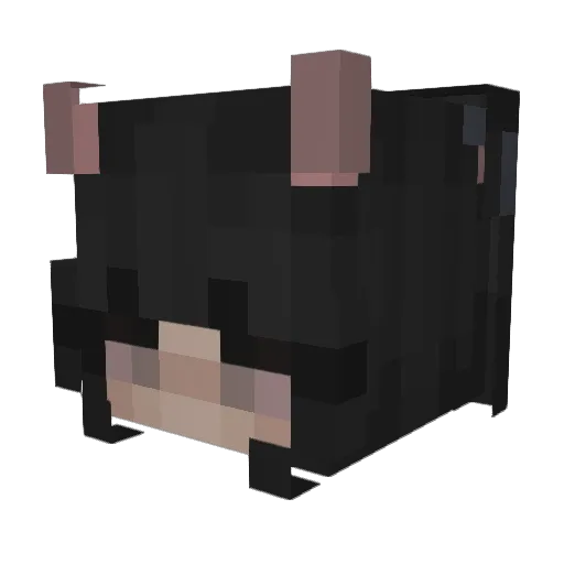 binkowink Minecraft avatar head, 3D render