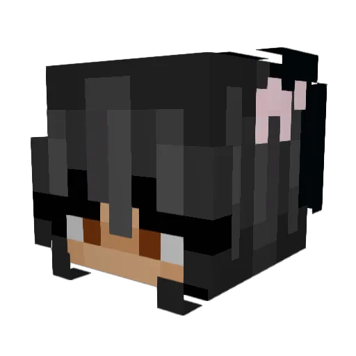 binkymeow Minecraft avatar head, 3D render