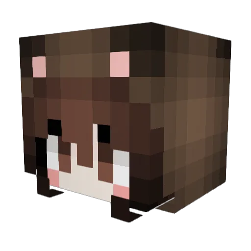 binnew Minecraft avatar head, 3D render