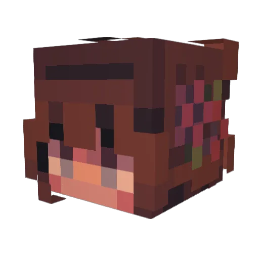 binturongx10 Minecraft avatar head, 3D render