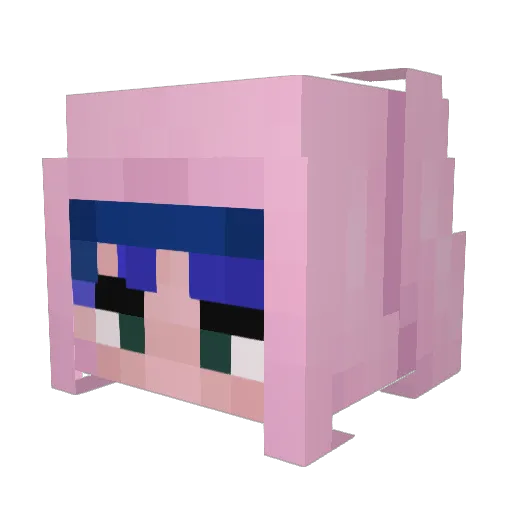 binxbasilisk Minecraft avatar head, 3D render