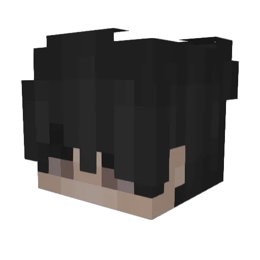 binxin11 Minecraft avatar head, 3D render