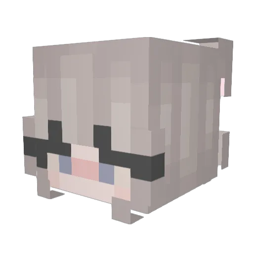 binzyyy Minecraft avatar head, 3D render