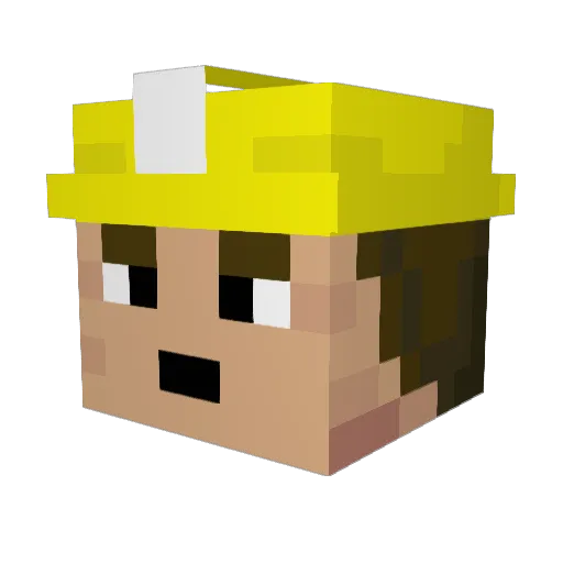 biodude12 Minecraft avatar head, 3D render