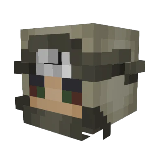 biohazzard2007 Minecraft avatar head, 3D render
