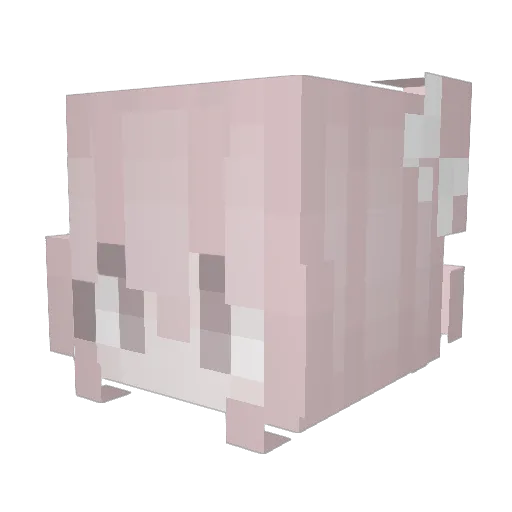 biologa Minecraft avatar head, 3D render