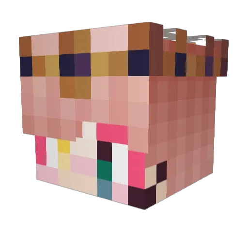 biologyny Minecraft avatar head, 3D render