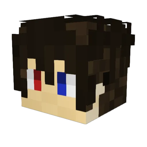 bionfett121 Minecraft avatar head, 3D render