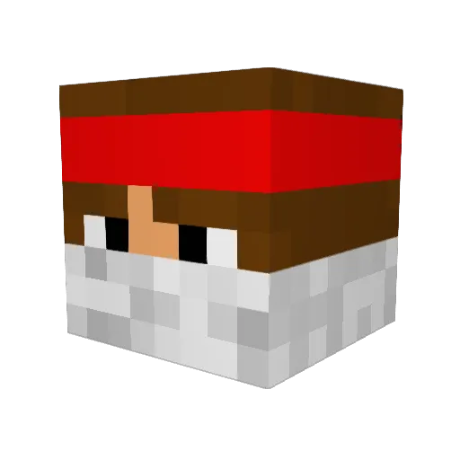 bionicrooster123 Minecraft avatar head, 3D render