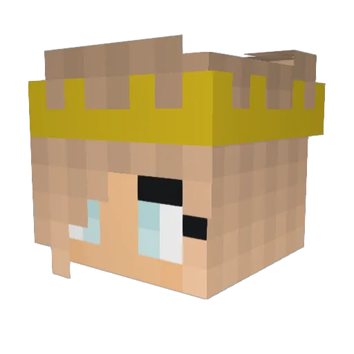 biosign Minecraft avatar head, 3D render