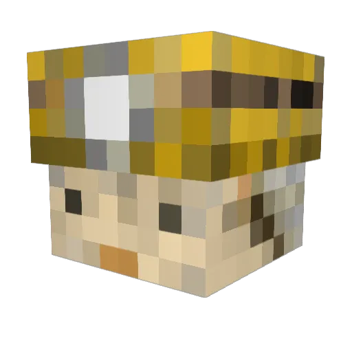bioto Minecraft avatar head, 3D render