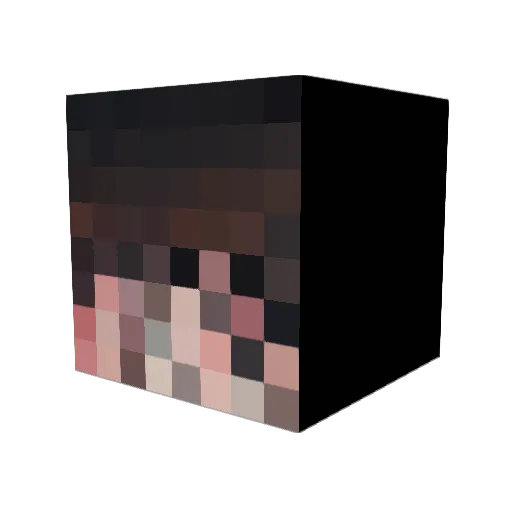 biotr Minecraft avatar head, 3D render