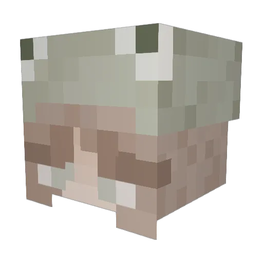 biovirgo Minecraft avatar head, 3D render