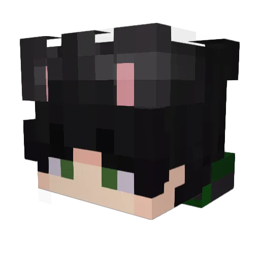 bioxim Minecraft avatar head, 3D render