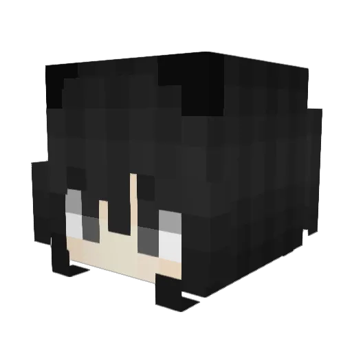 bipolar6 Minecraft avatar head, 3D render
