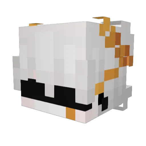 bipul Minecraft avatar head, 3D render