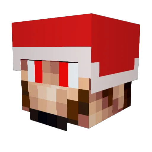 birang12 Minecraft avatar head, 3D render