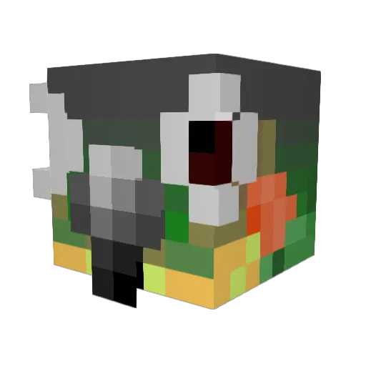 birb8576 Minecraft avatar head, 3D render