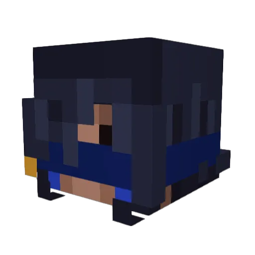 birbgoose Minecraft avatar head, 3D render