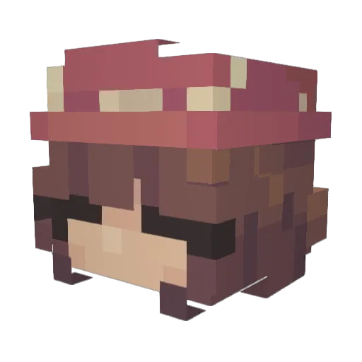 birbsii Minecraft avatar head, 3D render