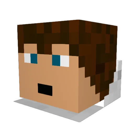 bird0125 Minecraft avatar head, 3D render