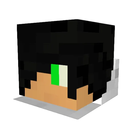 bird6 Minecraft avatar head, 3D render