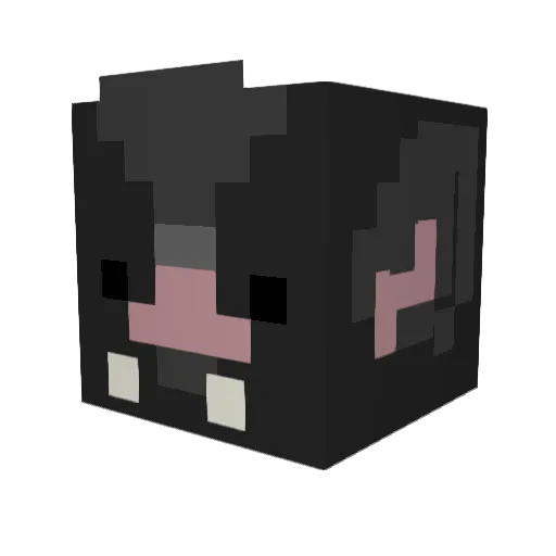bird72761 Minecraft avatar head, 3D render