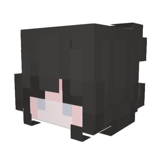 bird7890 Minecraft avatar head, 3D render