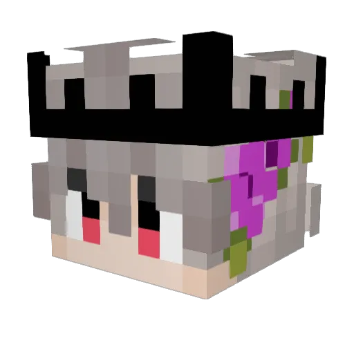 bird_destroyer Minecraft avatar head, 3D render