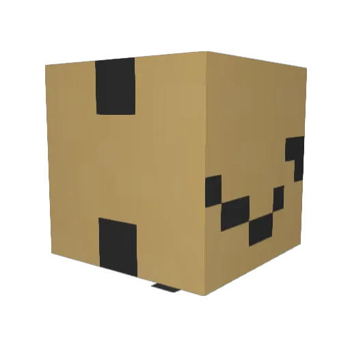 birdballer2 Minecraft avatar head, 3D render