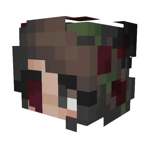 birdbirdian Minecraft avatar head, 3D render