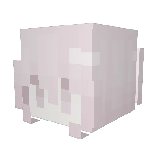 birdbloxxe Minecraft avatar head, 3D render