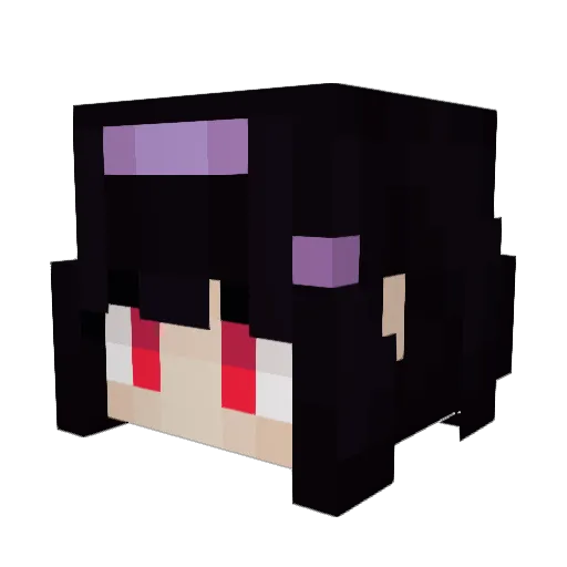 birdbrain0401 Minecraft avatar head, 3D render