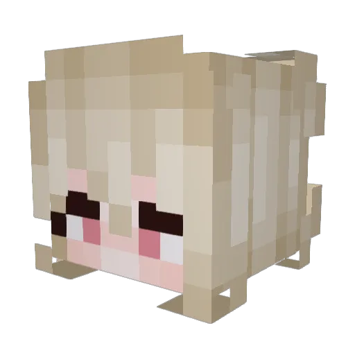 birdbutt8 Minecraft avatar head, 3D render