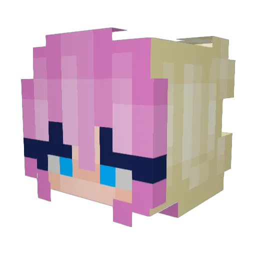 birdcar_ Minecraft avatar head, 3D render