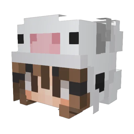 birdddddddb Minecraft avatar head, 3D render