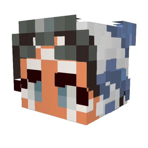 birdfarts Minecraft avatar head, 3D render