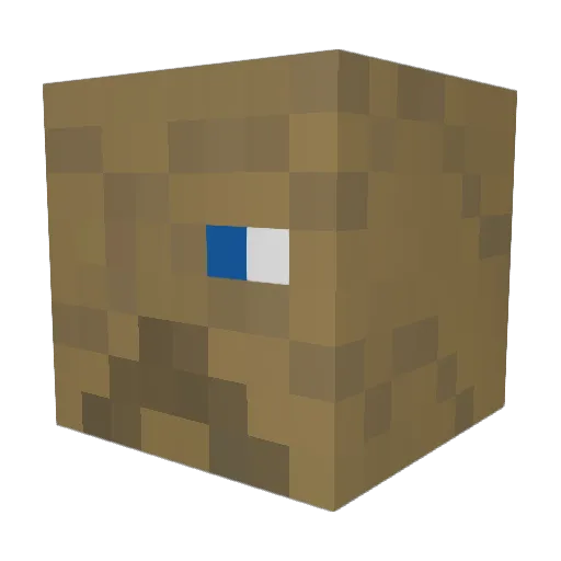 birdfeederbutt Minecraft avatar head, 3D render