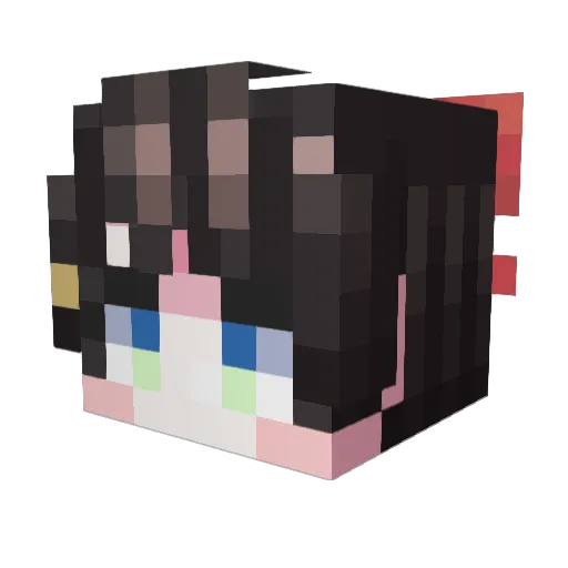 birdflex332 Minecraft avatar head, 3D render