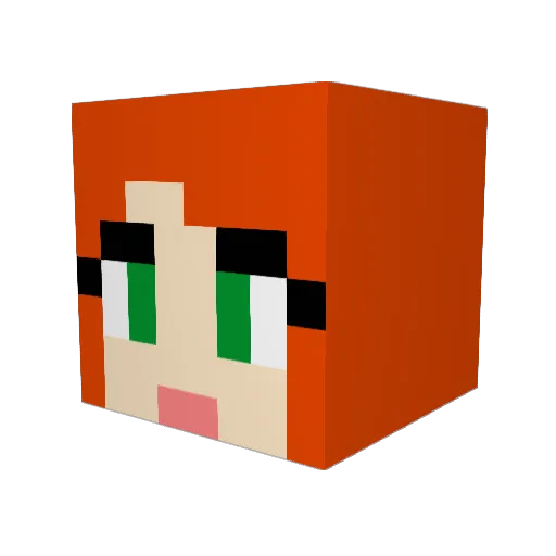 birdhaus Minecraft avatar head, 3D render