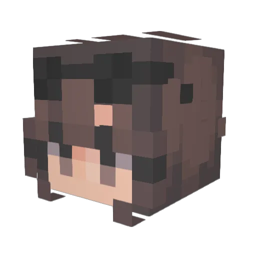 birdie_char Minecraft avatar head, 3D render