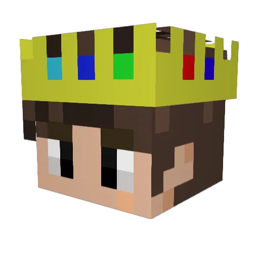 birdiemine_ Minecraft avatar head, 3D render