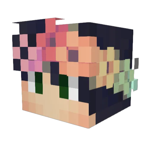 birdii_berrii Minecraft avatar head, 3D render