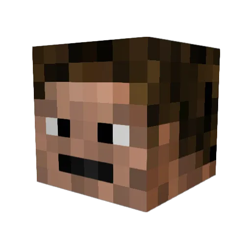birdis Minecraft avatar head, 3D render
