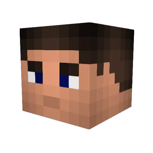 birdman299 Minecraft avatar head, 3D render