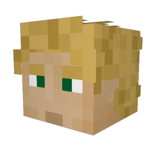 birdnerdy Minecraft avatar head, 3D render