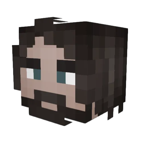 birdofhermes9420 Minecraft avatar head, 3D render