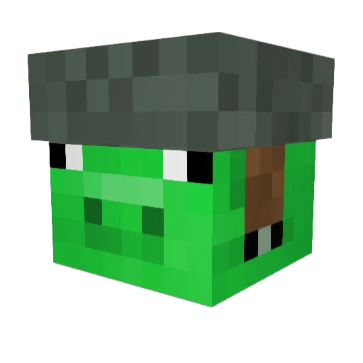 birdpug2600 Minecraft avatar head, 3D render