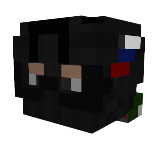 birdsdontknowyou Minecraft avatar head, 3D render